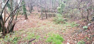 Terrain seul à Le Collet-de-Dèze en Lozère (48) de 9403 m² à vendre au prix de 98000€ - 1