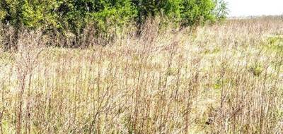 Terrain seul à Marest-Dampcourt en Aisne (02) de 503 m² à vendre au prix de 38990€ - 1