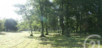 Terrain seul à Saint-Vivien-de-Médoc en Gironde (33) de 3960 m² à vendre au prix de 80000€ - 2