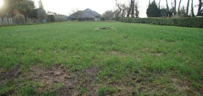 Terrain seul à Ploërmel en Morbihan (56) de 1174 m² à vendre au prix de 59500€ - 1
