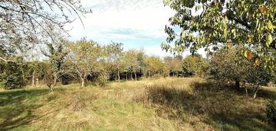 Terrain seul à Béruges en Vienne (86) de 985 m² à vendre au prix de 62700€ - 1