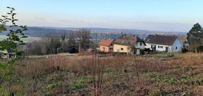 Programme terrain + maison à Illfurth en Haut-Rhin (68) de 730 m² à vendre au prix de 598400€ - 3