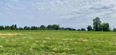 Terrain seul à Pont-l'Évêque en Calvados (14) de 609 m² à vendre au prix de 73100€ - 4