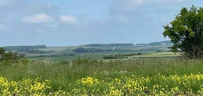 Terrain seul à Haraucourt en Meurthe-et-Moselle (54) de 661 m² à vendre au prix de 75000€ - 1