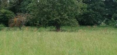 Terrain seul à Magny-en-Vexin en Val-d'Oise (95) de 1917 m² à vendre au prix de 125990€ - 4