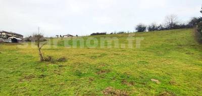 Terrain seul à Sardieu en Isère (38) de 1000 m² à vendre au prix de 79000€ - 4