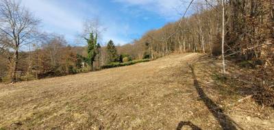 Terrain seul à Masevaux-Niederbruck en Haut-Rhin (68) de 2640 m² à vendre au prix de 225000€ - 4