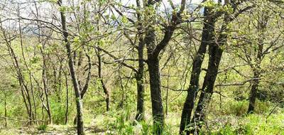 Terrain seul à Corte en Haute-Corse (2B) de 500 m² à vendre au prix de 55600€ - 2