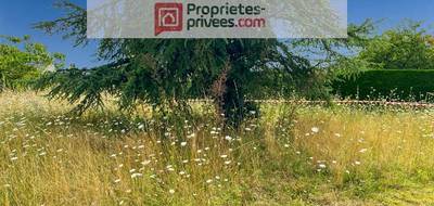 Terrain seul à Beaulieu-sur-Layon en Maine-et-Loire (49) de 0 m² à vendre au prix de 60000€ - 1