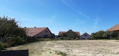 Programme terrain + maison à Galfingue en Haut-Rhin (68) de 437 m² à vendre au prix de 289100€ - 3