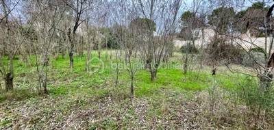 Terrain seul à Collias en Gard (30) de 824 m² à vendre au prix de 175000€ - 2