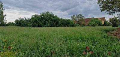 Terrain seul à Bischwihr en Haut-Rhin (68) de 525 m² à vendre au prix de 149500€ - 2
