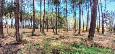 Terrain seul à Seignosse en Landes (40) de 810 m² à vendre au prix de 415000€ - 2