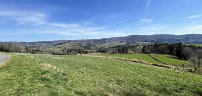 Terrain seul à Laprugne en Allier (03) de 12729 m² à vendre au prix de 6000€ - 1