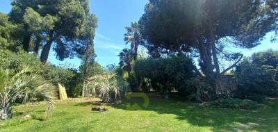 Terrain seul à Cers en Hérault (34) de 800 m² à vendre au prix de 255000€ - 1