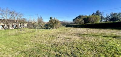 Terrain seul à Lauzerville en Haute-Garonne (31) de 723 m² à vendre au prix de 179000€ - 4