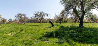 Terrain seul à Aubry-le-Panthou en Orne (61) de 4000 m² à vendre au prix de 54000€ - 2