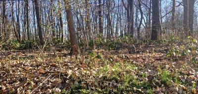 Terrain seul à Ronquerolles en Val-d'Oise (95) de 1886 m² à vendre au prix de 9400€ - 2