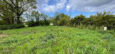 Terrain seul à La Chevrolière en Loire-Atlantique (44) de 567 m² à vendre au prix de 130920€ - 3