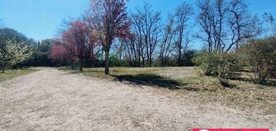 Terrain seul à Saubens en Haute-Garonne (31) de 600 m² à vendre au prix de 138000€ - 3