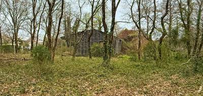 Terrain seul à Grayan-et-l'Hôpital en Gironde (33) de 7905 m² à vendre au prix de 149990€ - 4