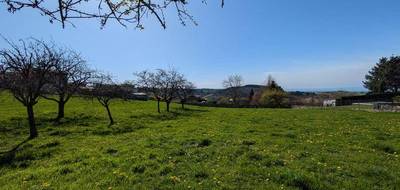 Terrain seul à Cottance en Loire (42) de 5090 m² à vendre au prix de 155000€ - 3