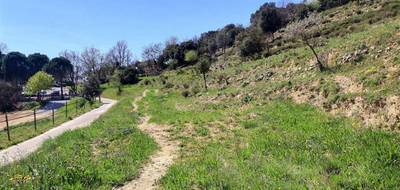 Terrain seul à Ruoms en Ardèche (07) de 4400 m² à vendre au prix de 85000€ - 2
