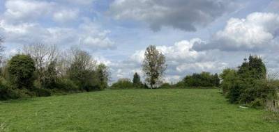 Terrain seul à Éclimeux en Pas-de-Calais (62) de 7585 m² à vendre au prix de 43300€ - 1