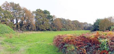 Terrain seul à Pontchâteau en Loire-Atlantique (44) de 4982 m² à vendre au prix de 115000€ - 1