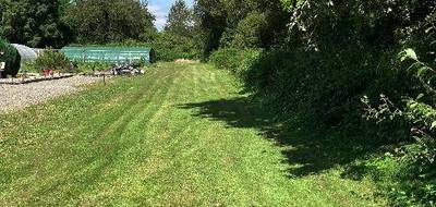 Terrain seul à La Souterraine en Creuse (23) de 9774 m² à vendre au prix de 99000€ - 1