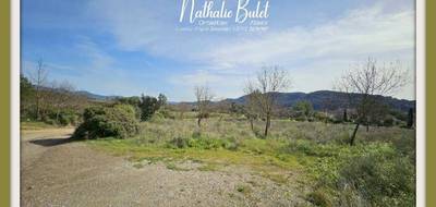 Terrain seul à Pierrerue en Hérault (34) de 2048 m² à vendre au prix de 273000€ - 3