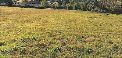 Terrain seul à Paussac-et-Saint-Vivien en Dordogne (24) de 5693 m² à vendre au prix de 42500€ - 4