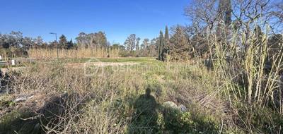 Terrain seul à Pézilla-la-Rivière en Pyrénées-Orientales (66) de 349 m² à vendre au prix de 98000€ - 2