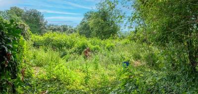 Terrain seul à Buire-Courcelles en Somme (80) de 7000 m² à vendre au prix de 75000€ - 3
