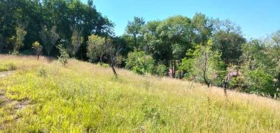 Terrain seul à Mauvezin en Gers (32) de 1028 m² à vendre au prix de 61000€ - 3