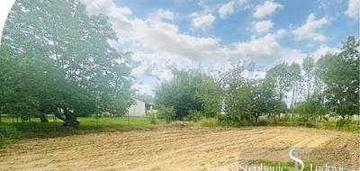 Terrain seul à Lavaur en Tarn (81) de 523 m² à vendre au prix de 52000€ - 3