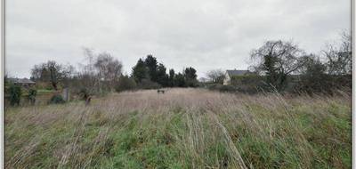 Terrain seul à Les Rairies en Maine-et-Loire (49) de 3241 m² à vendre au prix de 46900€ - 2