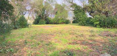 Terrain seul à Montélimar en Drôme (26) de 2000 m² à vendre au prix de 300000€ - 1