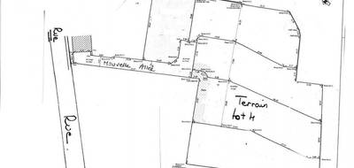 Terrain seul à Auchy-lez-Orchies en Nord (59) de 0 m² à vendre au prix de 150000€ - 3