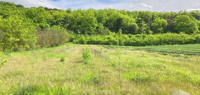 Terrain seul à Saint-Montan en Ardèche (07) de 1800 m² à vendre au prix de 68000€ - 3