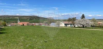 Terrain seul à Nixéville-Blercourt en Meuse (55) de 7520 m² à vendre au prix de 109000€ - 2