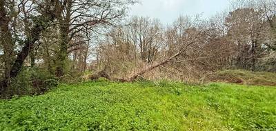 Terrain seul à Grayan-et-l'Hôpital en Gironde (33) de 7905 m² à vendre au prix de 149990€ - 3