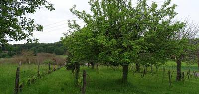 Terrain seul à Aubas en Dordogne (24) de 10164 m² à vendre au prix de 127200€ - 3