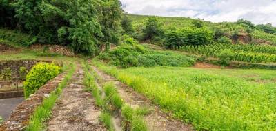 Terrain seul à Chavanay en Loire (42) de 714 m² à vendre au prix de 89500€ - 2