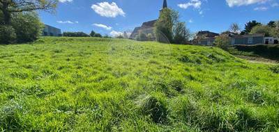 Terrain seul à Matringhem en Pas-de-Calais (62) de 3395 m² à vendre au prix de 92000€ - 4
