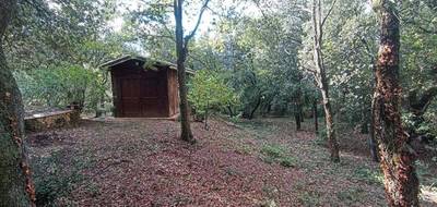 Terrain seul à Les Granges-Gontardes en Drôme (26) de 8706 m² à vendre au prix de 290000€ - 4