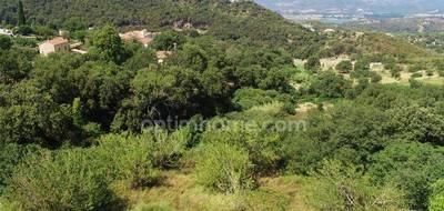 Terrain seul à Oletta en Haute-Corse (2B) de 3218 m² à vendre au prix de 280000€ - 2