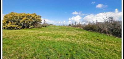 Terrain seul à Moissac en Tarn-et-Garonne (82) de 1452 m² à vendre au prix de 35000€ - 1