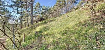 Terrain seul à Château-Bernard en Isère (38) de 670 m² à vendre au prix de 66000€ - 4