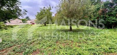 Terrain seul à Mazamet en Tarn (81) de 1000 m² à vendre au prix de 55000€ - 1